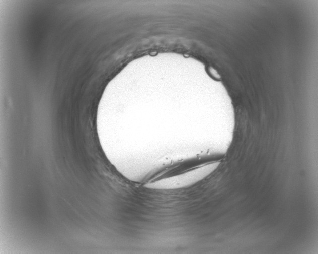 X0000065251489200603172150