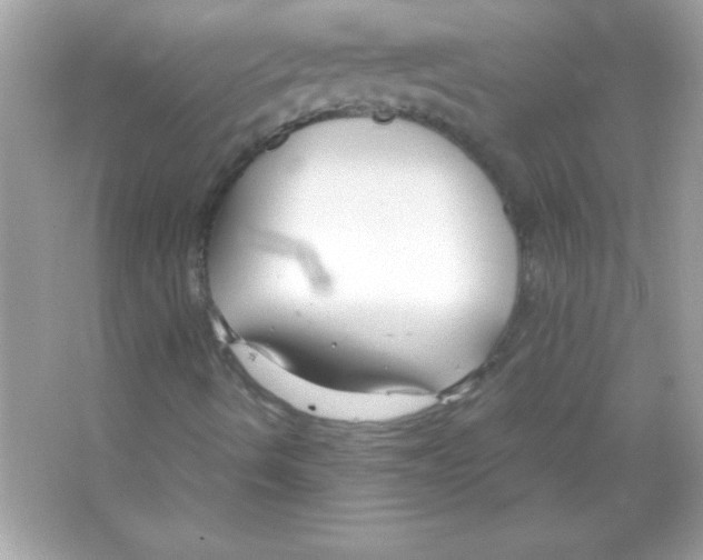 X0000065251490200603172150