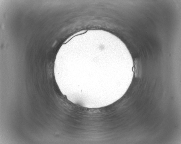 X0000065251491200603172150