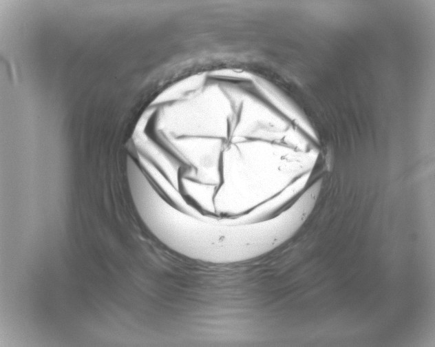 X0000065251492200603172150