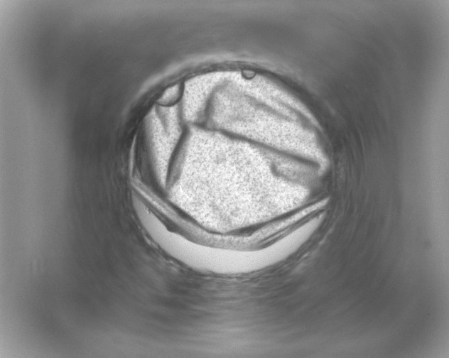 X0000065251494200603172150