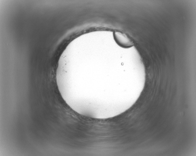 X0000065251495200603172150