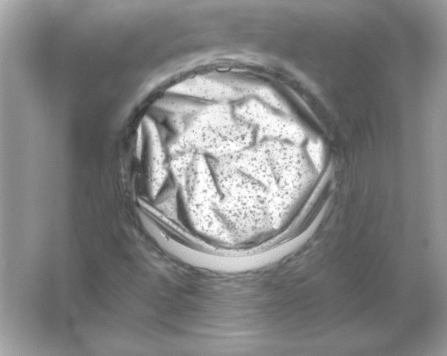 X0000065251496200603172150