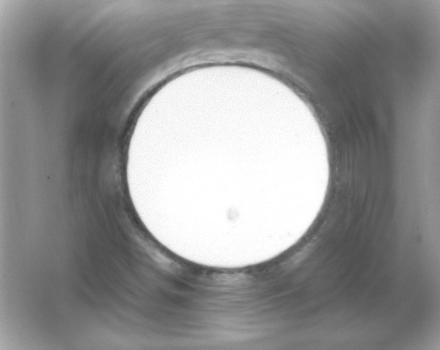 X0000065251498200603172150