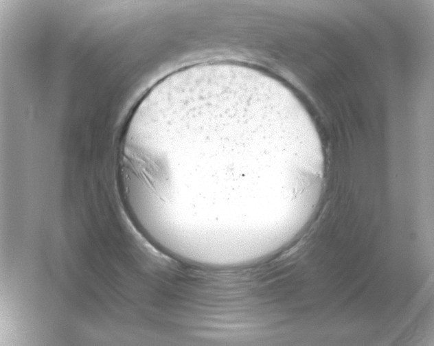 X0000065251500200603172150