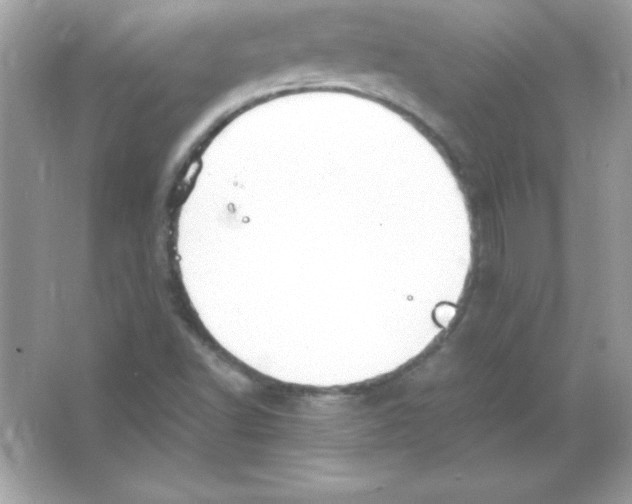 X0000065251502200603172150