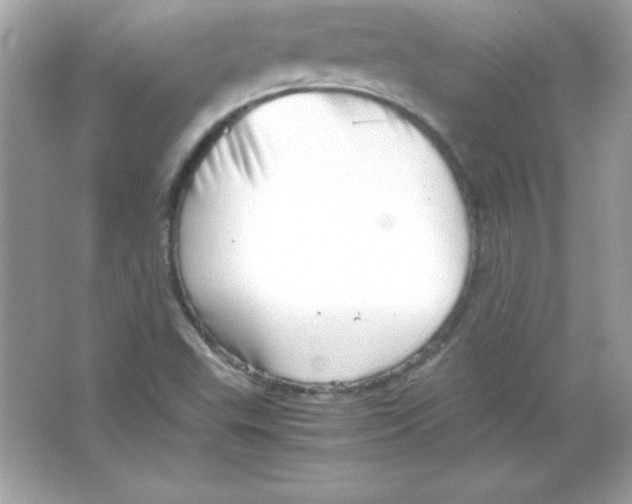 X0000065251503200603172150