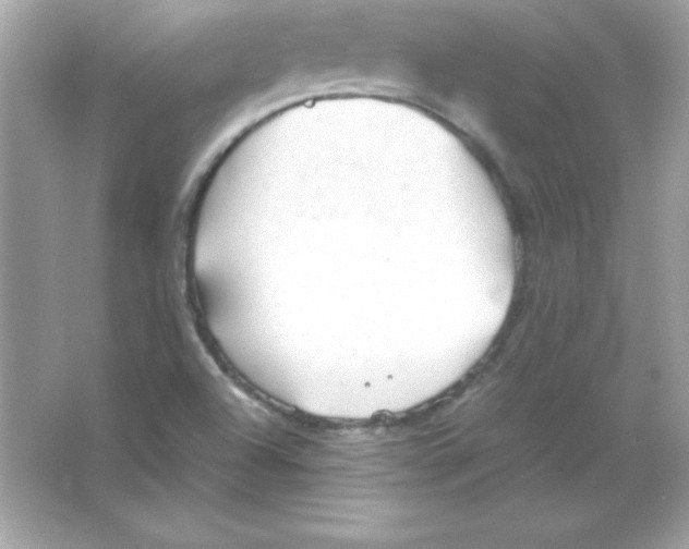 X0000065251504200603172150