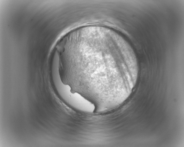 X0000065251506200603172150