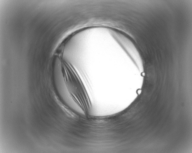 X0000065251507200603172151