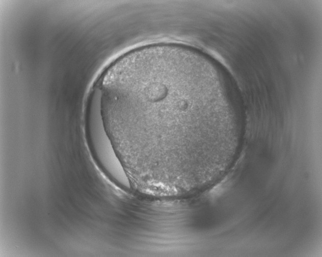 X0000065251508200603172151