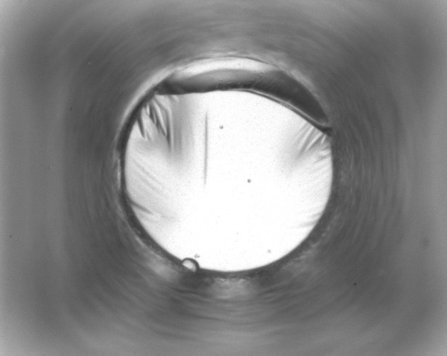 X0000065251509200603172151