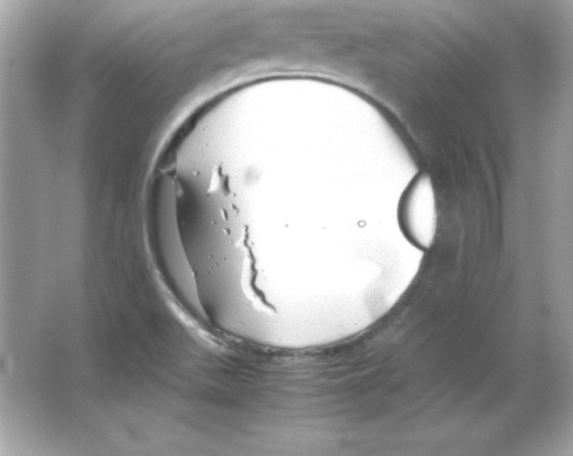 X0000065251511200603172151