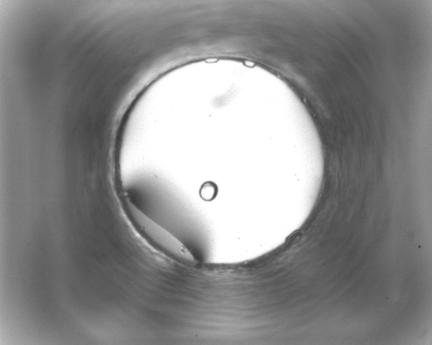 X0000065251512200603172151