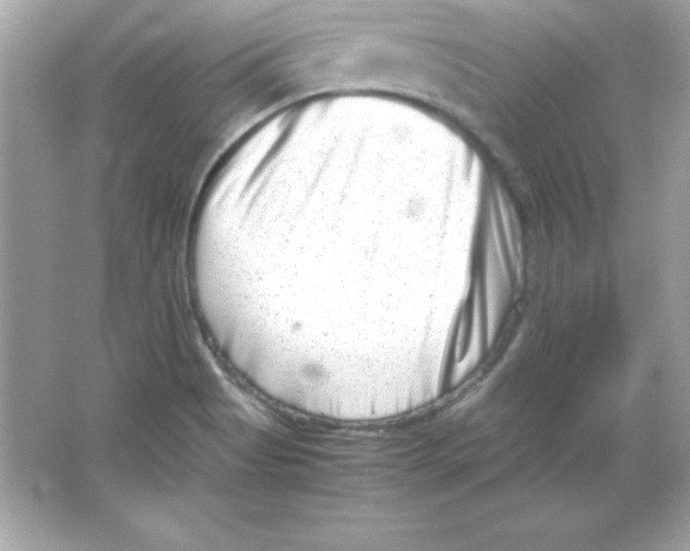 X0000065251513200603172151