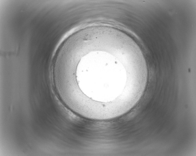 X0000065251514200603172151