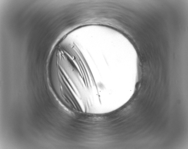 X0000065251517200603172151