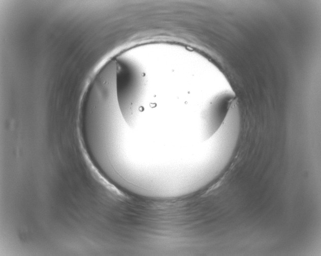 X0000065251518200603172151