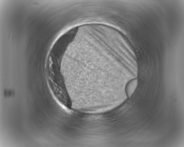 X0000065251519200603172151