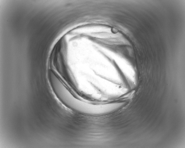 X0000065251520200603172151