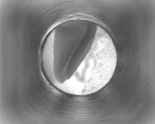 X0000065251522200603172151