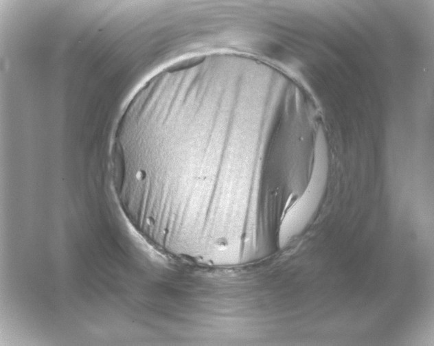 X0000065251524200603172151