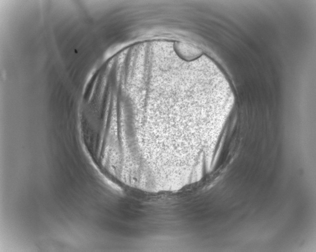 X0000065251525200603172151