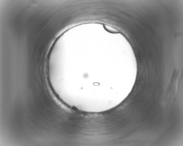 X0000065251526200603172151