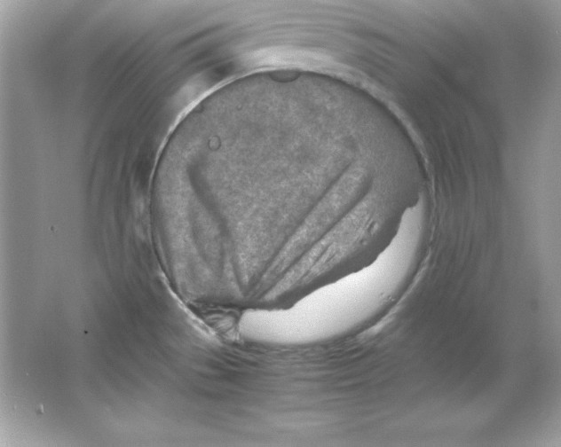 X0000065251529200603172151