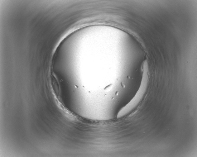 X0000065251530200603172151