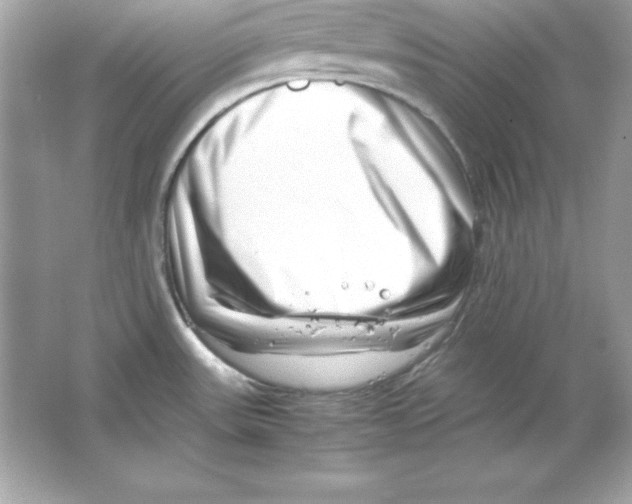 X0000065251531200603172151