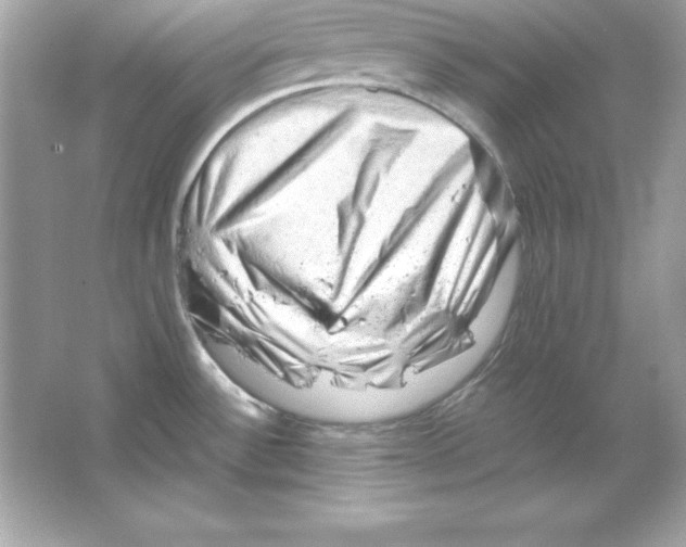 X0000065251532200603172151