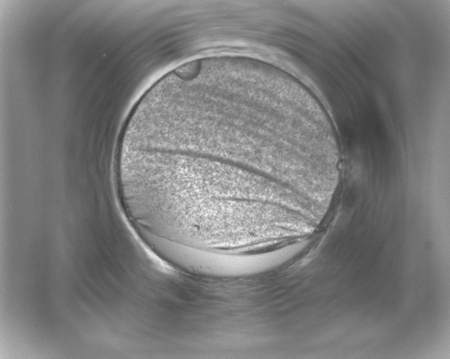 X0000065251533200603172151