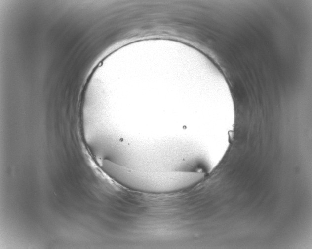 X0000065251534200603172151