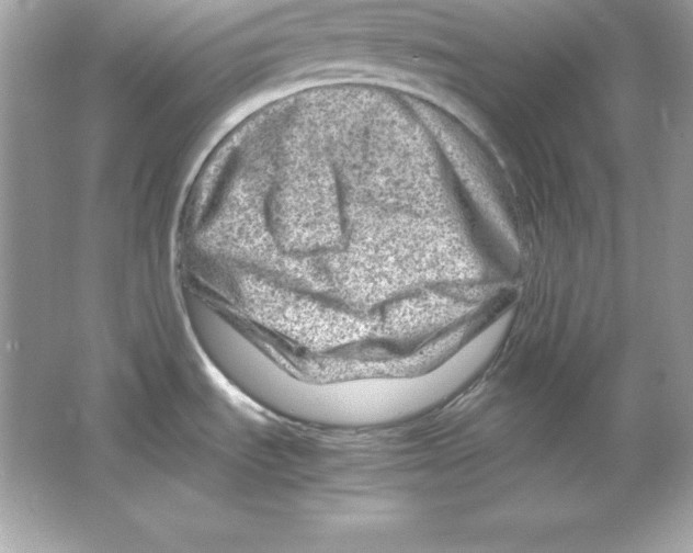 X0000065251535200603172151