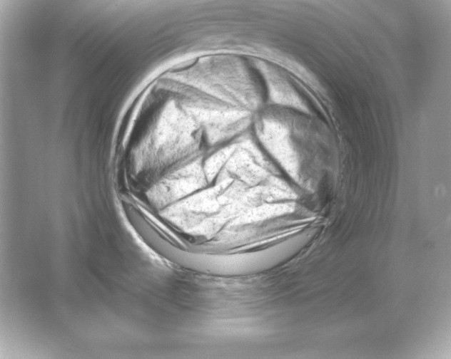 X0000065251536200603172151