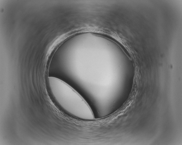 X0000065260007200602171007