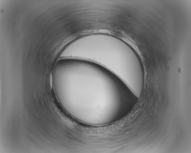 X0000065260013200602171007