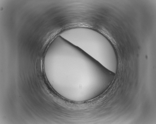 X0000065260014200602171007