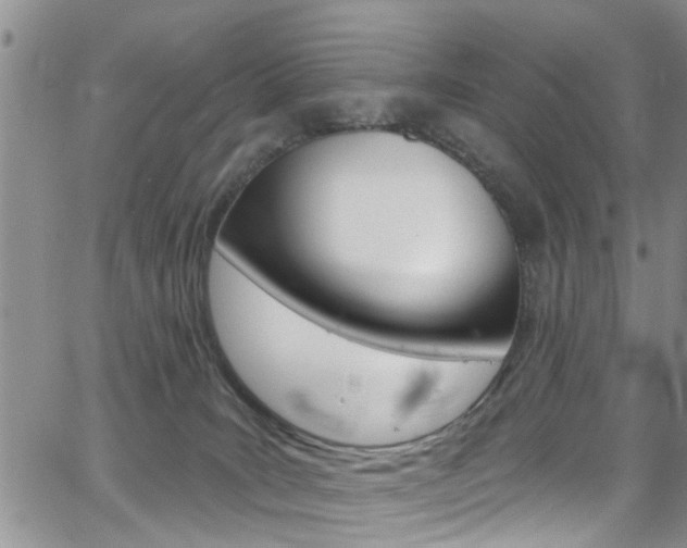 X0000065260035200602171007