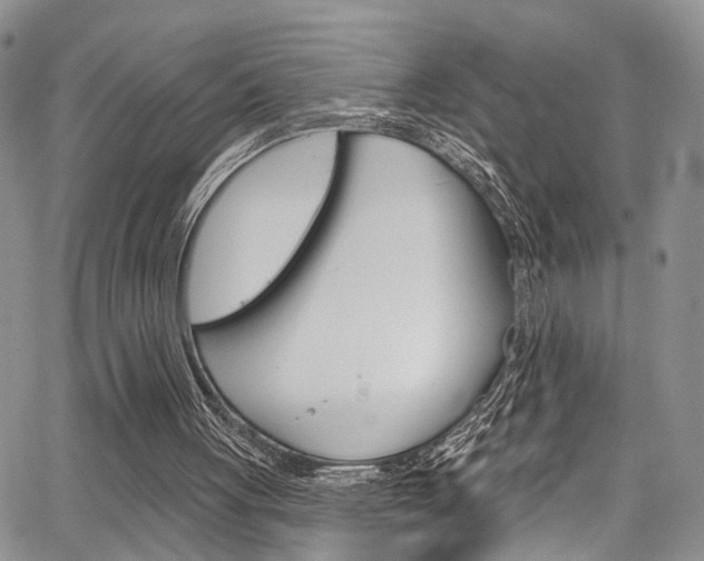 X0000065260051200602171006