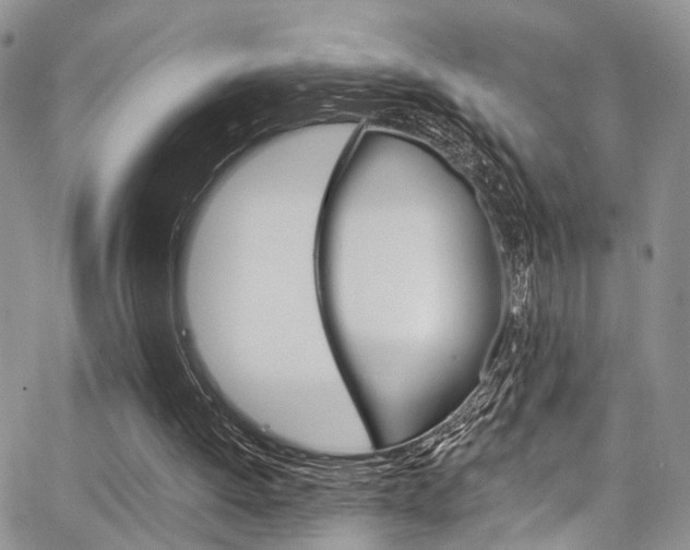 X0000065260052200602171006
