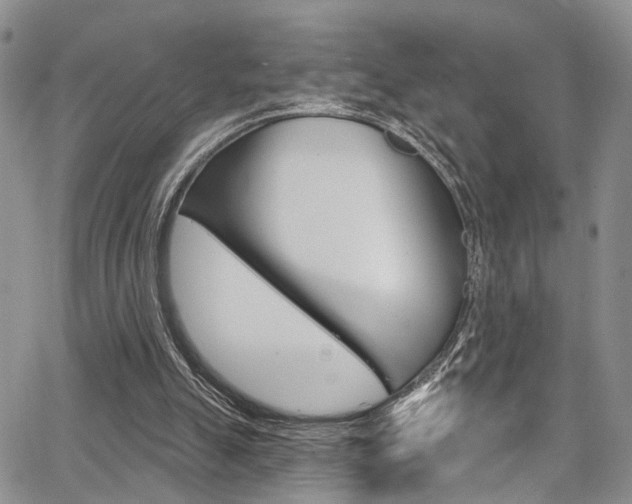 X0000065260055200602171006