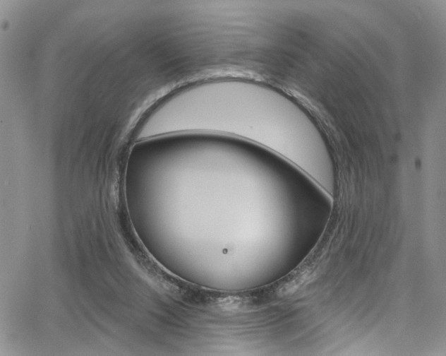 X0000065260064200602171006