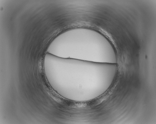 X0000065260065200602171006