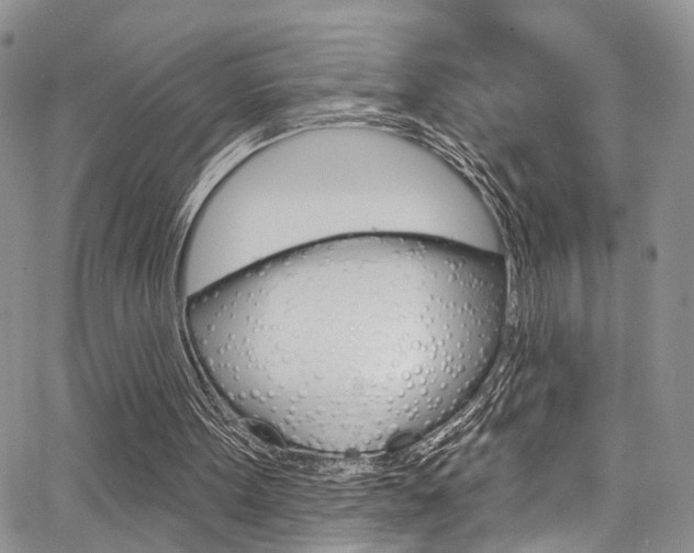 X0000065260099200602171005