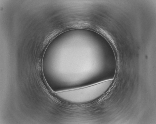 X0000065260105200602171005