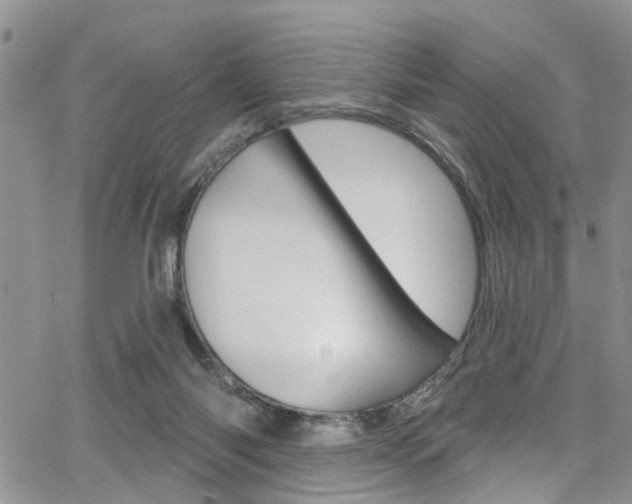 X0000065260118200602171005