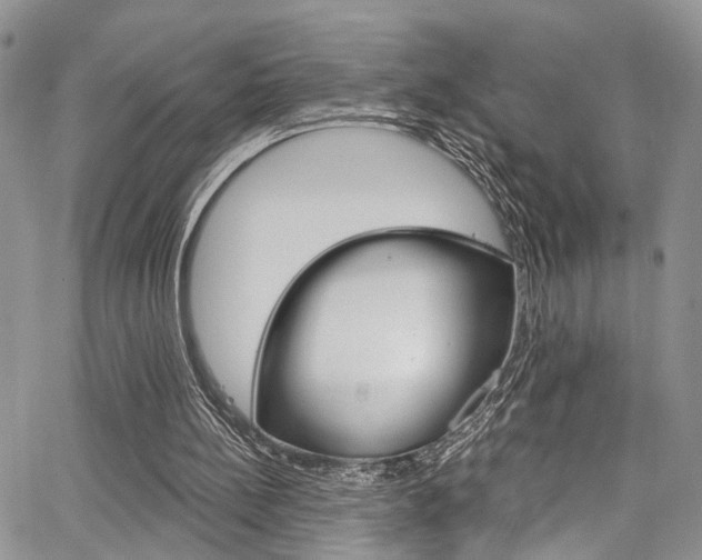 X0000065260148200602171004
