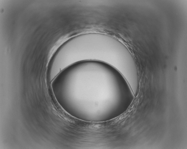 X0000065260152200602171004